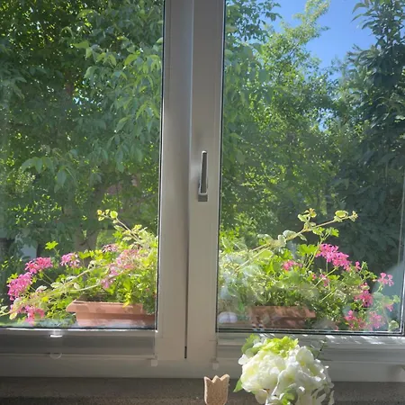 Elsterblick بيت للعطل باد إلستر