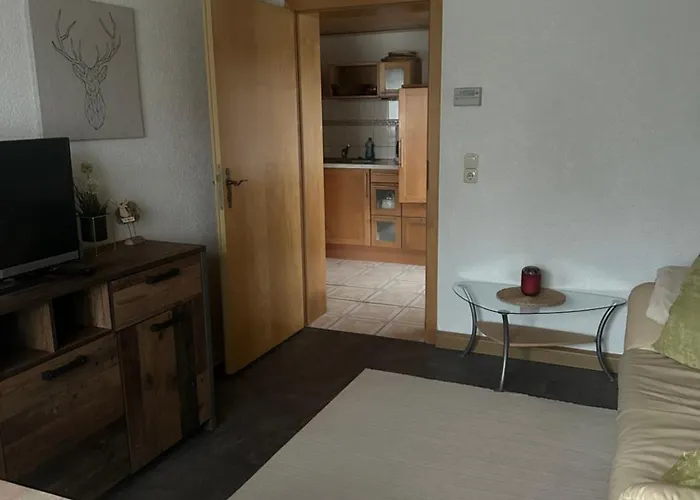 Elsterblick Dom wakacyjny *