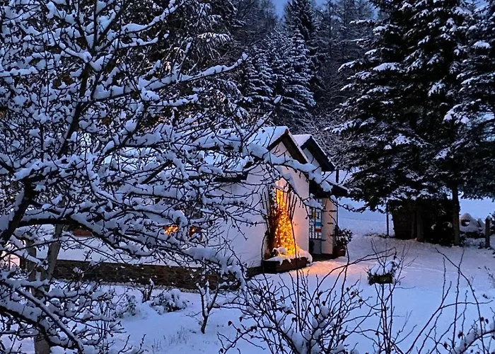 Dom wakacyjny Elsterblick *